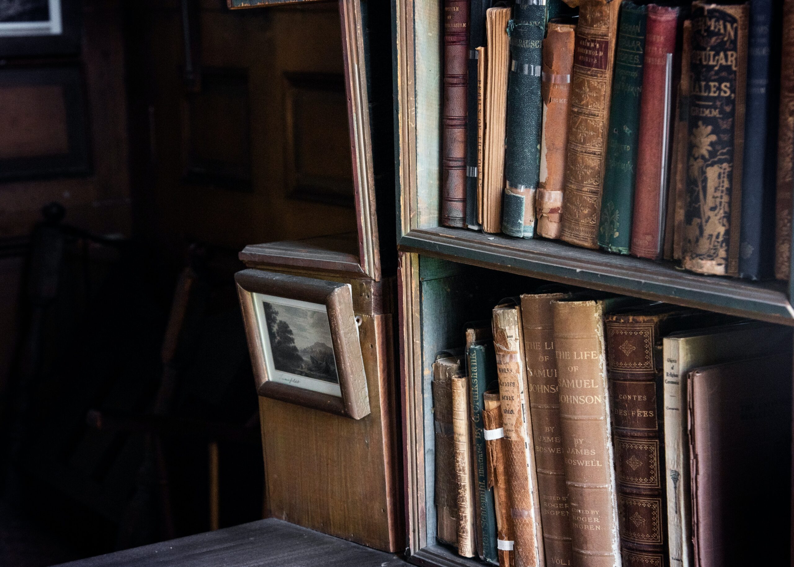 Bookshelves containing different books, showcasing the importance of editing.